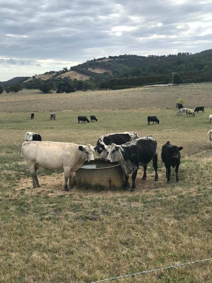 The Yarra Valley Couple Escape Yarra Glen Exterior foto